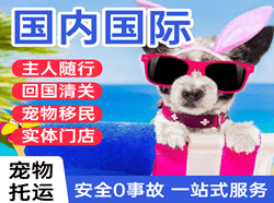 呼伦贝尔航空货运国际宠物托运 【国